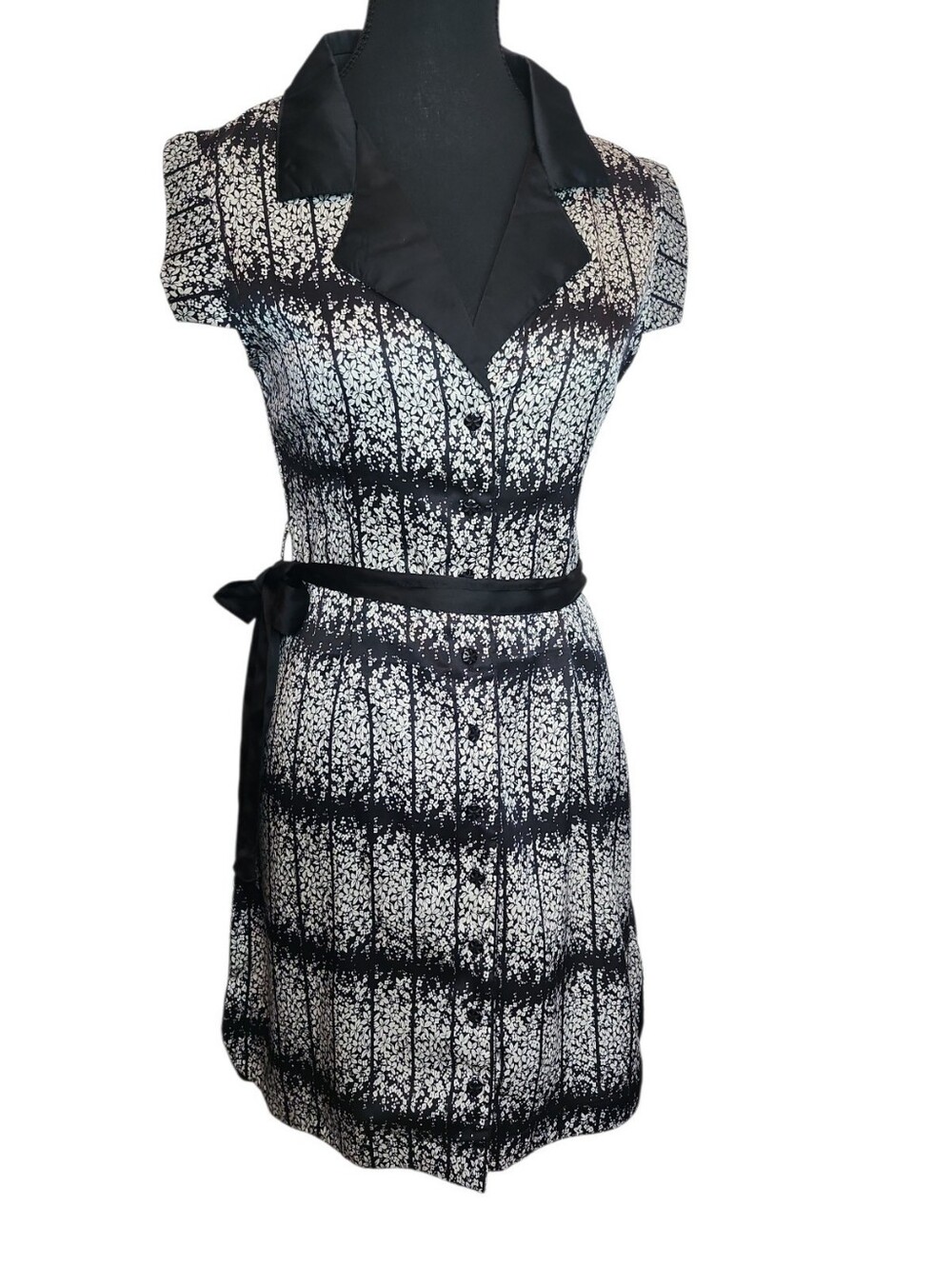 Birds Of North America Dress Size Small